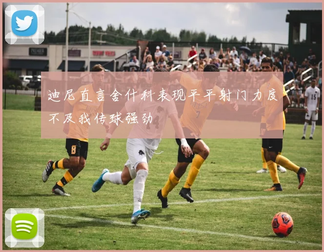 迪尼直言舍什科表现平平射门力度不及我传球强劲
